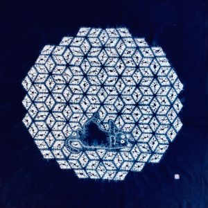 Cats don't mind geometry